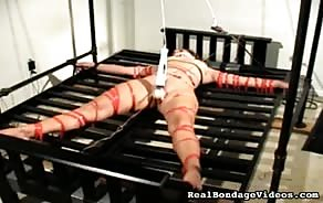 Real Bondage Videos Collections